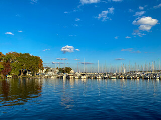 Sailboats stand tall in a serene marina under a vivid blue sky. The shimmering water reflects the vibrant trees and the quiet charm of the harbor on a perfect sunny day.