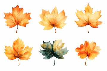 Fototapeta premium Autumn Watercolor Leaves Collection, Six Vibrant Fall Foliage Illustrations Depicting Nature's Seasonal Change Beautifully.