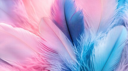 Obraz premium Soft Pastel Pink and Blue Feathers Background