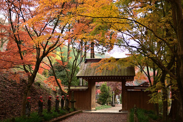 秋、紅葉