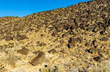 Ancient Native American Petroglyph Symbols on The Hillside of Rinconada Canyon, Petroglyph National Monument,Albuquerque, New Mexico, USA