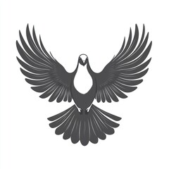 Obraz premium Gray dove with wings spread wide, isolated on white background.