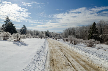 Fototapeta premium Snow-covered pathway leading to Mount Monadnock in New Hampshire during winter with frost-laden trees under a clear blue sky