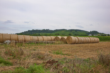 Farming barn