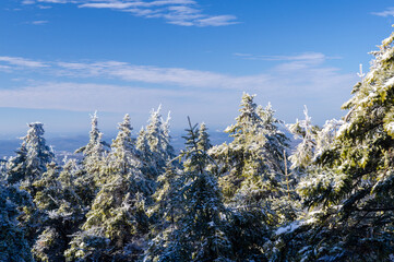 Winter landscape at Mount Monadnock in New Hampshire showcases snow-capped trees against a clear blue sky