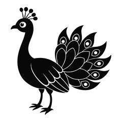 peacock illustration