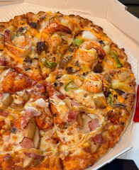 A delicious pizza with a golden crust, melted cheese, and savory toppings. Perfect for food-related designs, menus, or Italian-themed projects, capturing the essence of a classic comfort dish.
