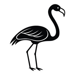 flamingo vector illustration
