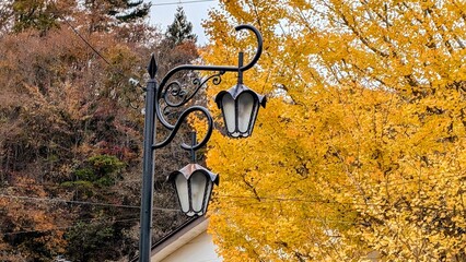 street light in the park