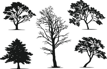 Set of 5 different deciduous tree silhouettes in vector illustration