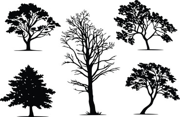 Obraz premium Set of 5 different deciduous tree silhouettes in vector illustration