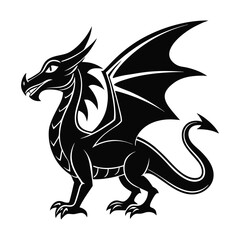 vector illustration of a dragon