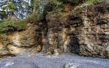 Scenic Coastal Rock Formation With Lush Foliage and Beach