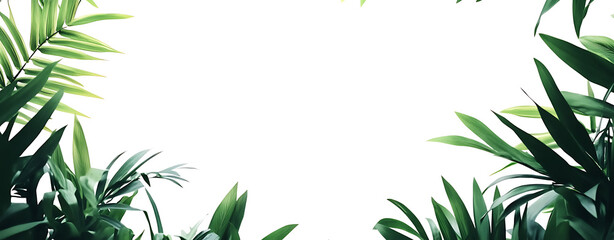 Fototapeta premium Lush Tropical Greenery Frame: Vibrant Green Leaves on White Background, Perfect for Summer Designs and Nature Themed Projects