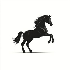 Majestic black stallion rearing, isolated on white background.