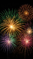 fireworks in the night sky