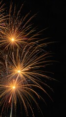 Fototapeta premium fireworks on the night sky