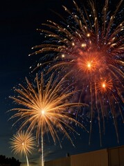 Obraz premium fireworks in the night sky