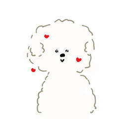 ビションフリーゼ　顔
