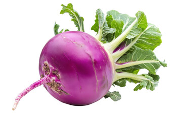 Purple Kohlrabi with leaves with isolated on transparent background