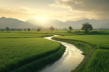 Fototapeta premium Serene Landscape of Lush Green Paddy Fields with Gentle Stream Flowing Through Scenic Trees and Mountains at Dusk