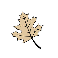 Vector cartoon illustration with winter