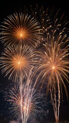 Fototapeta premium fireworks in the night sky