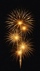 Fototapeta premium fireworks in the night sky