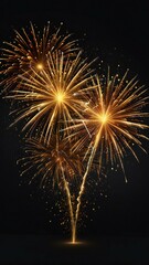 Fototapeta premium fireworks in the night sky