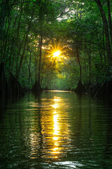 Obraz premium Tranquil river flowing through lush mangroves at sunset creating a serene atmosphere