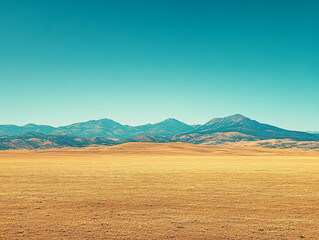 Obraz premium Wide expanse of golden grassland under a clear blue sky with distant mountains in view