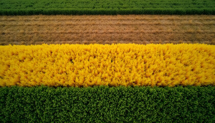 Aerial Shot of Multicolored Crop Patterns in Fields