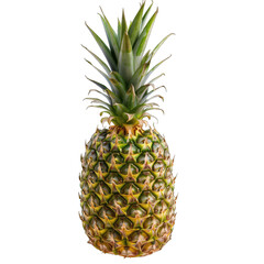 Fototapeta premium pineapple isolated on white background