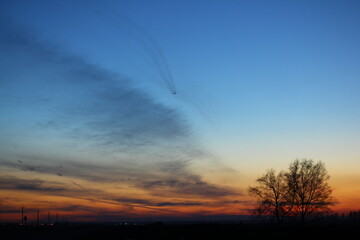 Beautiful magical landscape image with trees silhouette at sunset.	
