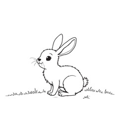 rabbit and carrot line art on white background 