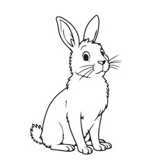 rabbit and carrot line art on white background 