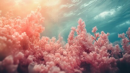 Fototapeta premium Pink Coral Reef Underwater Scene: Vibrant Ocean Nature