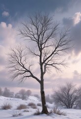 Bare branches of Tilia Americana against a snowy winter sky, forest scenery, snowy landscape, cold weather