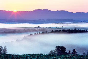 日の出と朝霧（上富良野町）