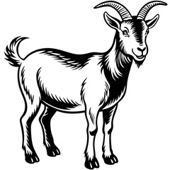 Goat vector illustration ,Goat Head svg, Goat Face svg, Farm Animal svg - Vector, Clipart, Cricut, CNC, Laser, Vinyl Cutter,