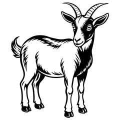 Goat vector illustration ,Goat Head svg, Goat Face svg, Farm Animal svg - Vector, Clipart, Cricut, CNC, Laser, Vinyl Cutter,
