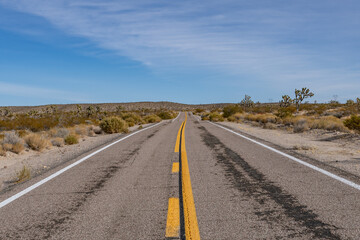 Cima volcanic field. Kelbaker Road, Mojave National Preserve. San Bernardino County, California. Mojave Desert / Basin and Range Province.