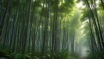 Fototapeta premium Bamboo forest with tall stalks and dense foliage, overgrowth, dense vegetation, bamboo forest