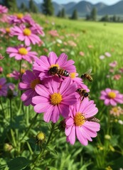 Obraz premium Bees feed on pink flowers in a lush green meadow , nature, fauna, apiary