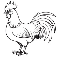 Hen line art on white background