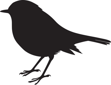 Robin bird silhouette logo, icon design vector illustration