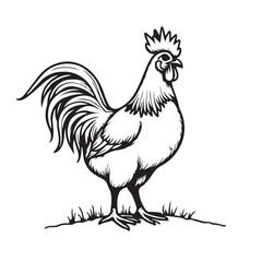 Hen line art on white background