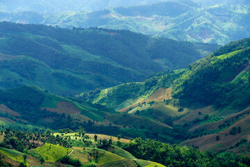 Fototapeta premium Lush Green Mountain Landscape Under Clear Blue Sky in Daylight