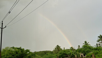 A double rainbow stretches across a cloudy sky above lush greenery, with palm trees adding to the tropical atmosphere. Power lines run diagonally, adding a touch of urban contrast to the natural scene