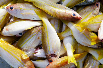 Freshly Caught Yellow Fish Pile on Market Display for Sale